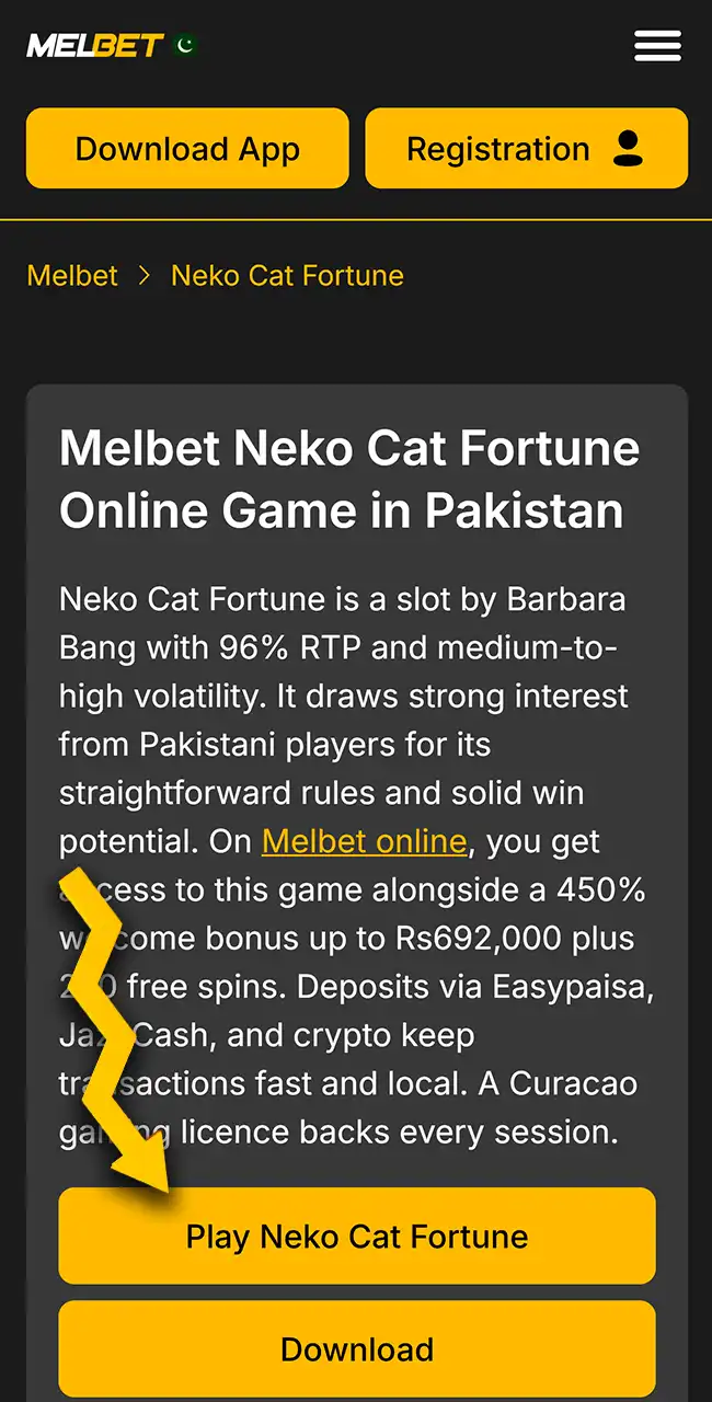 Fill out the form on Melbet website.